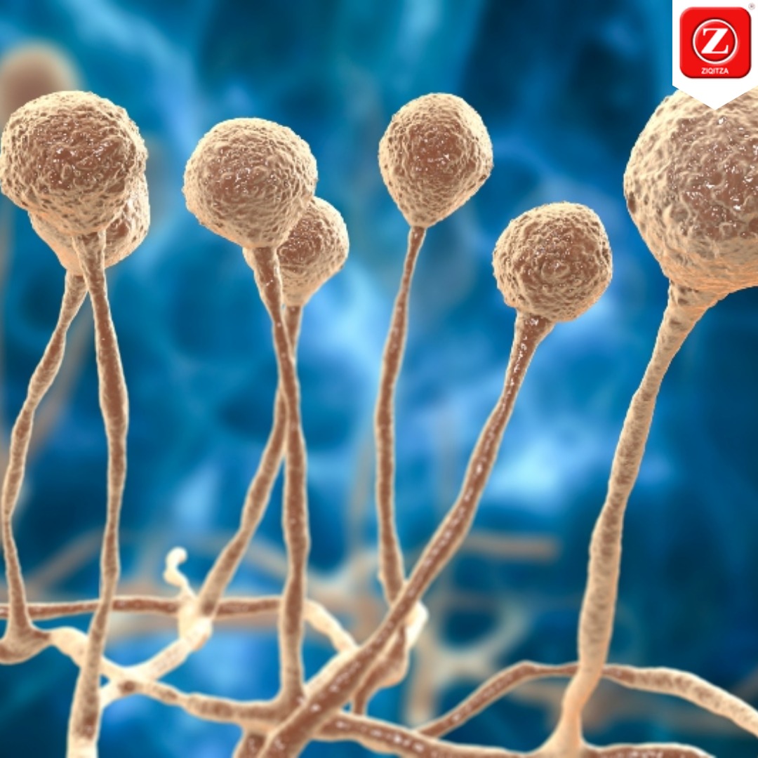 Ziqitza Limited Rajasthan helps you understand the difference between