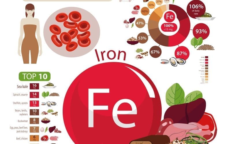 Iron Rich Foods