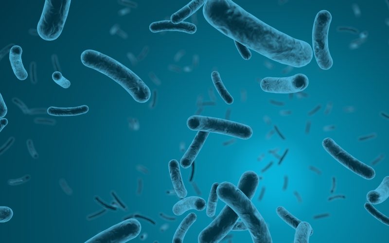 Legionella